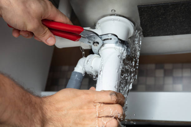Best Ceiling water damage repair  in Rosewood Heights, IL