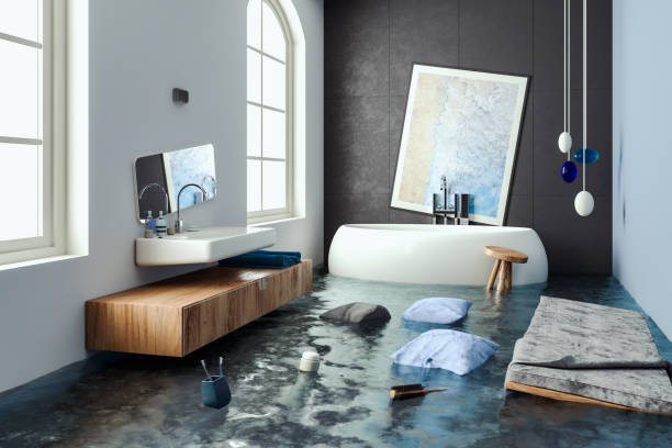 Best Water damage cleanup near me  in Rosewood Heights, IL