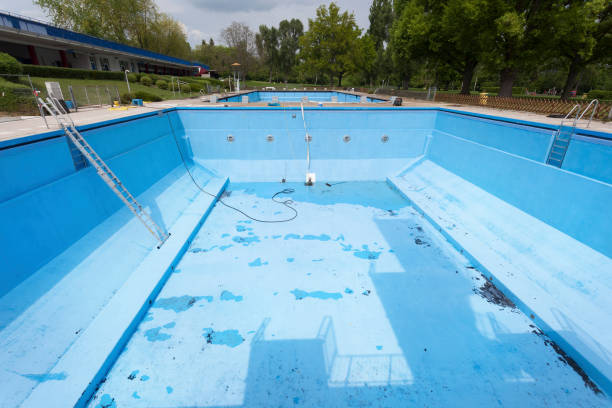 Best Flood damage cleanup  in Rosewood Heights, IL