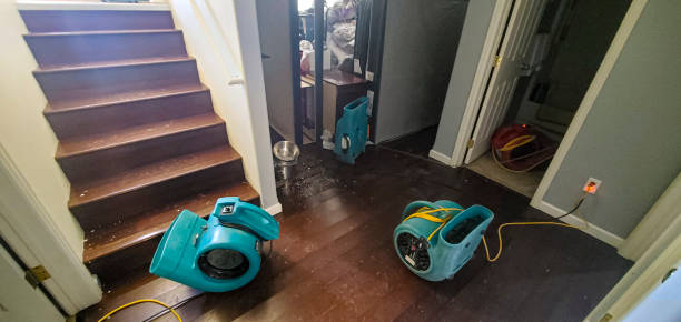 Best Water damage restoration experts  in Rosewood Heights, IL