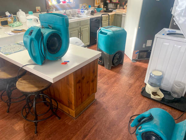 Best Residential water damage restoration  in Rosewood Heights, IL