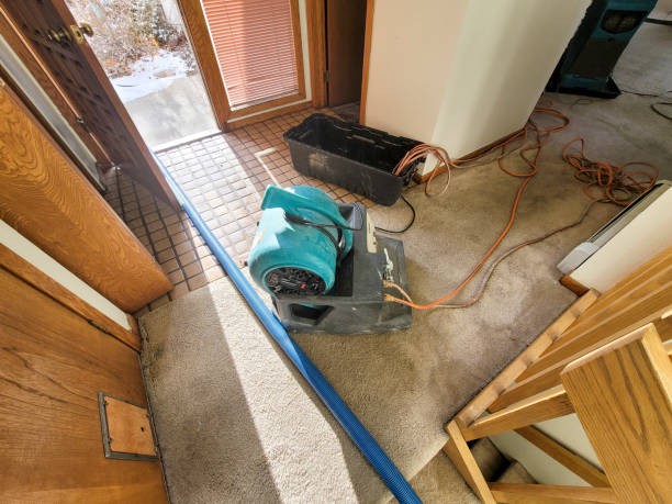 Best Flood restoration services  in Rosewood Heights, IL
