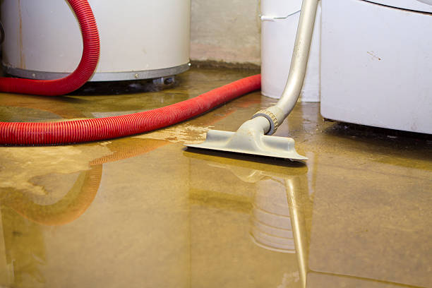 Reliable IL Water damage restoration Solutions