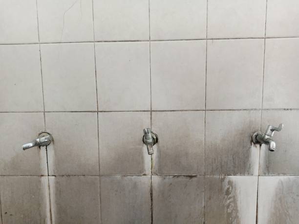 Best Residential water damage restoration  in Rosewood Heights, IL