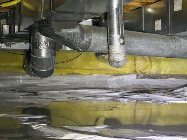 Best Flood damage cleanup  in Rosewood Heights, IL
