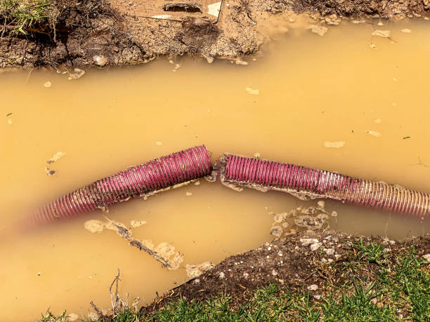 Best Sewage cleanup and water damage restoration  in Rosewood Heights, IL