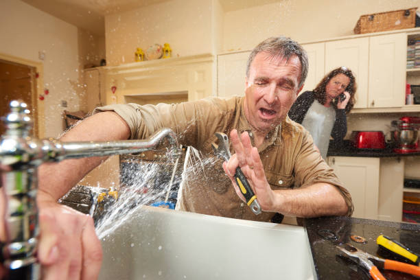 Best Water damage restoration process  in Rosewood Heights, IL